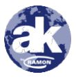 RAMON